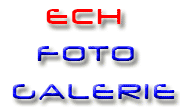 ECH Fotogalerie